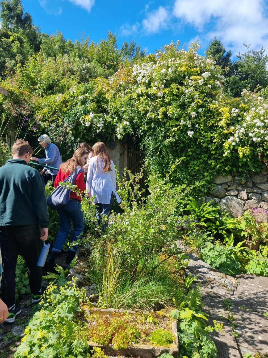 Eco Printing With Flowers in Knockrose Gardens