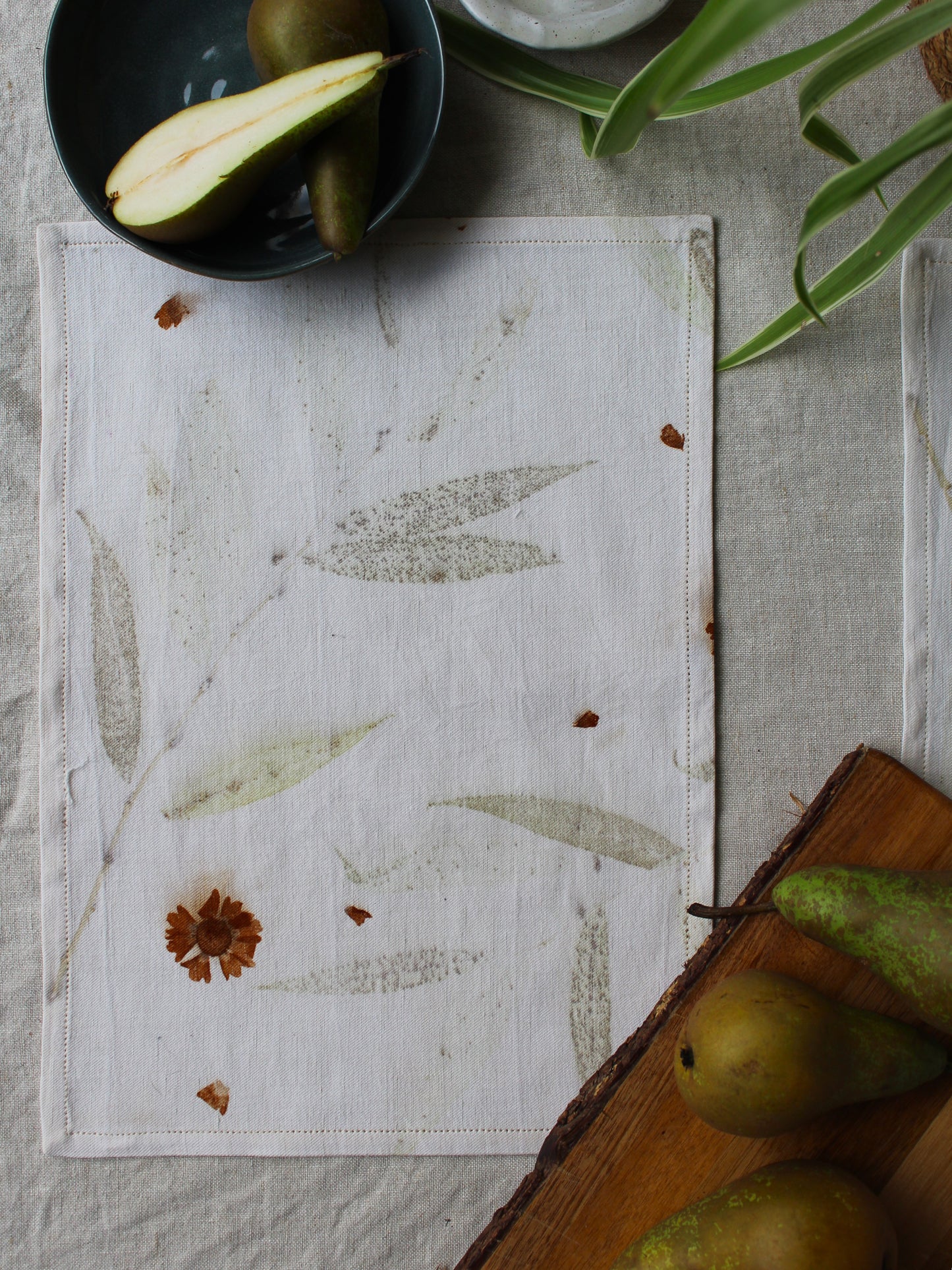 Twill Linen Placemats