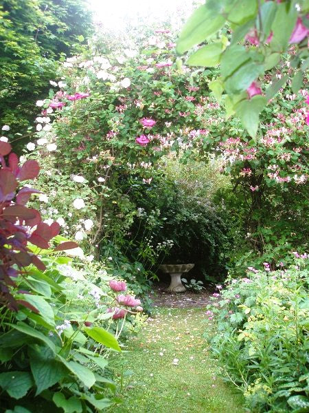 Eco Printing With Flowers in Knockrose Gardens