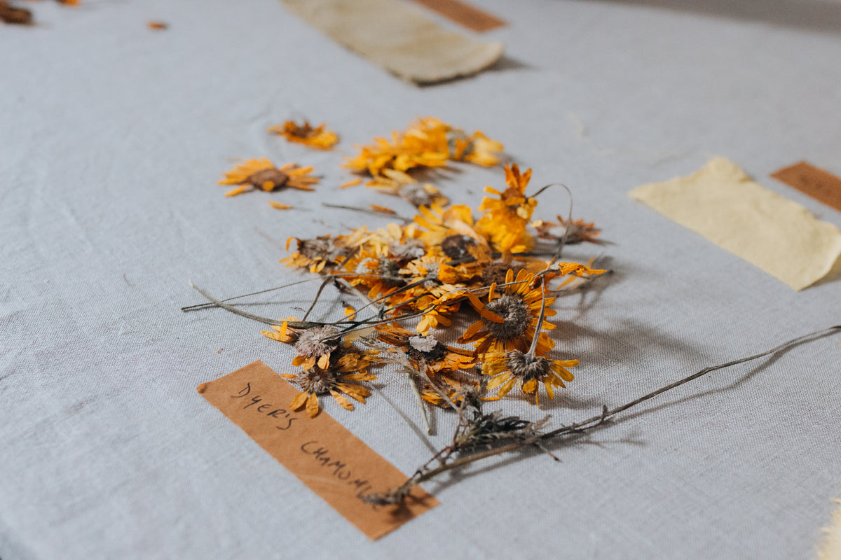 Modh | Irish Naturally Dyed Textiles